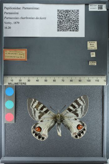 Media type: image;   Entomology 180471